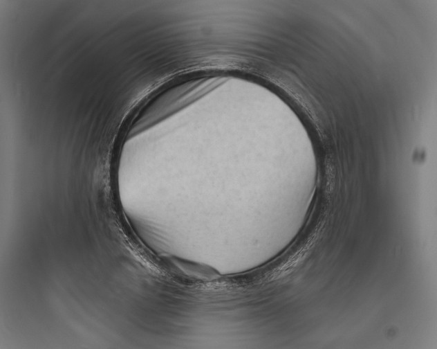 X0000093730834200711060959