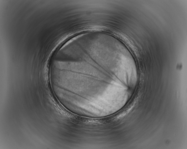 X0000093730835200711060959