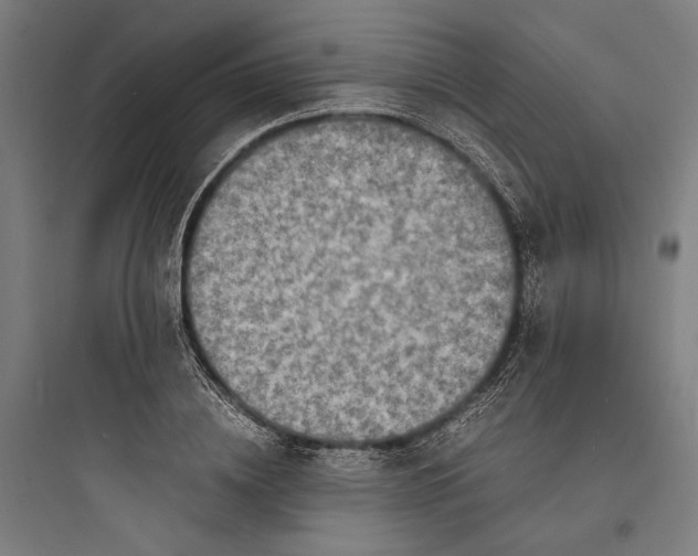 X0000093730836200711060959