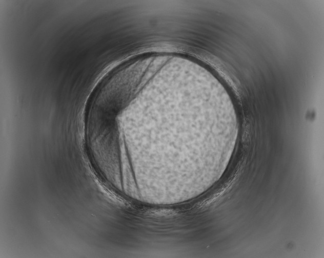 X0000093730837200711060959