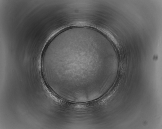 X0000093730839200711060959