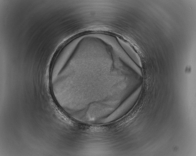 X0000093730840200711060959