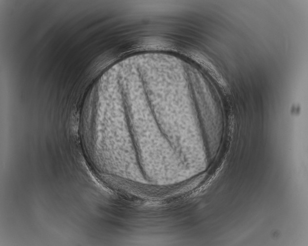 X0000093730841200711060959