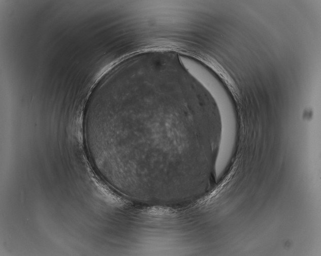 X0000093730842200711060959