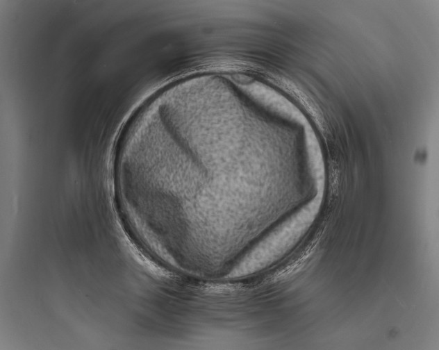 X0000093730843200711060959