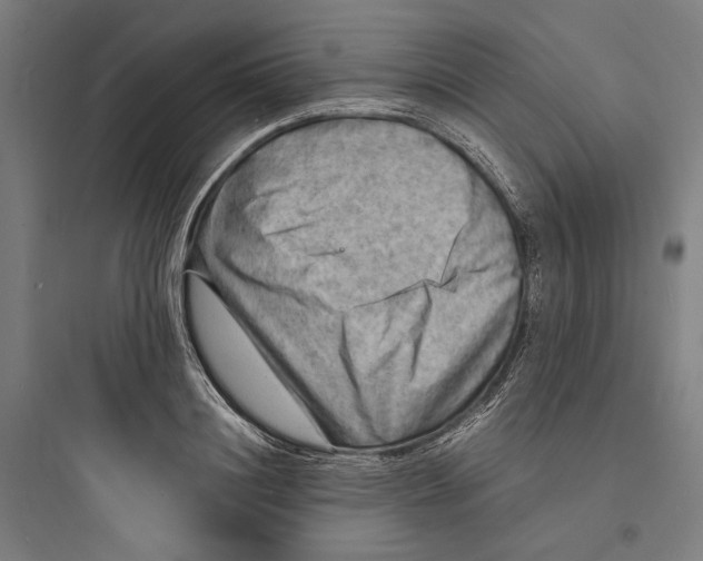 X0000093730844200711060959