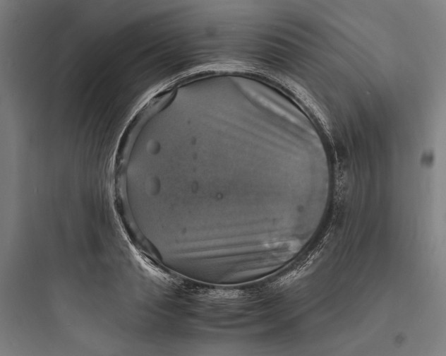 X0000093730845200711060959