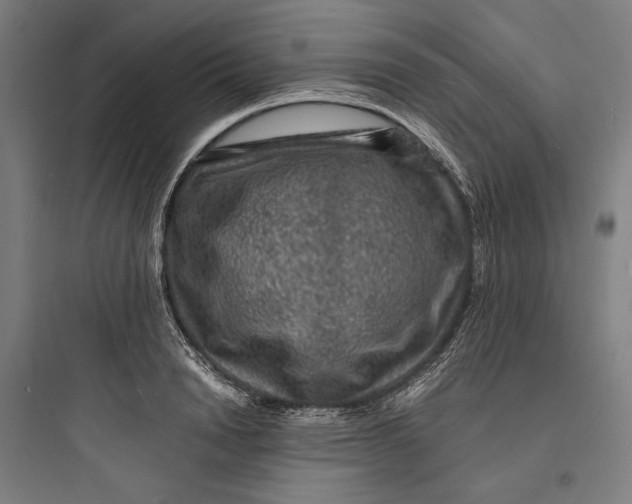 X0000093730846200711060959