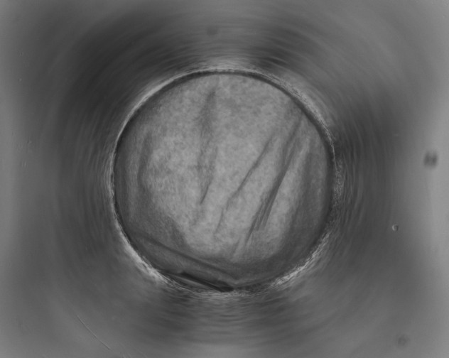 X0000093730847200711060959