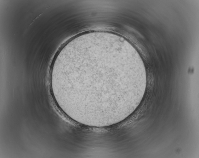 X0000093730848200711060959