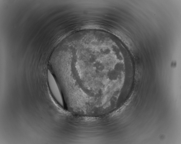 X0000093730849200711060959