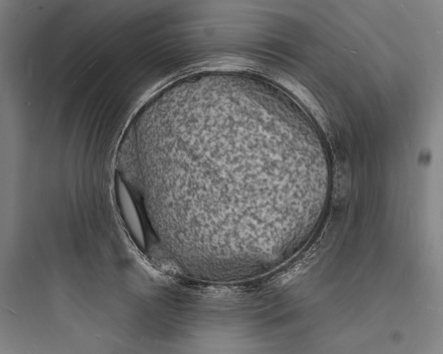 X0000093730850200711060959