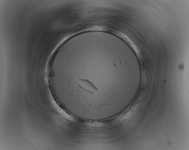 X0000093730851200711060959