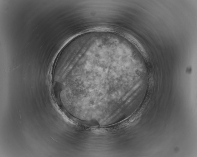 X0000093730852200711060959