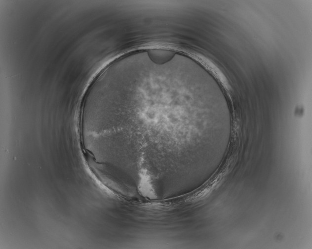 X0000093730855200711060959