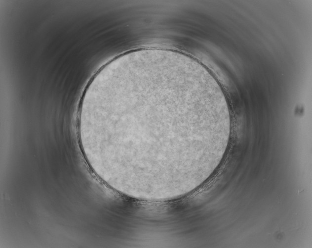 X0000093730856200711060959