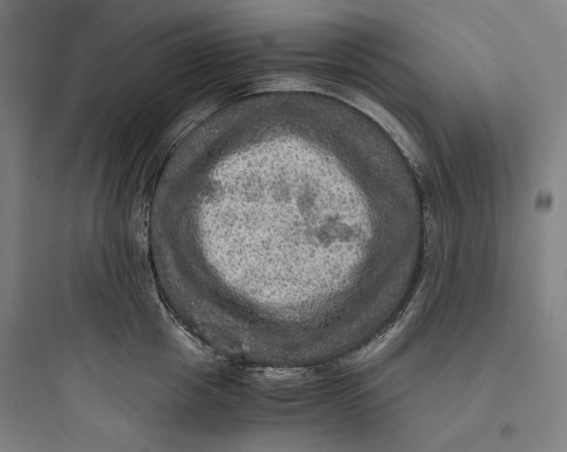 X0000093730857200711060959