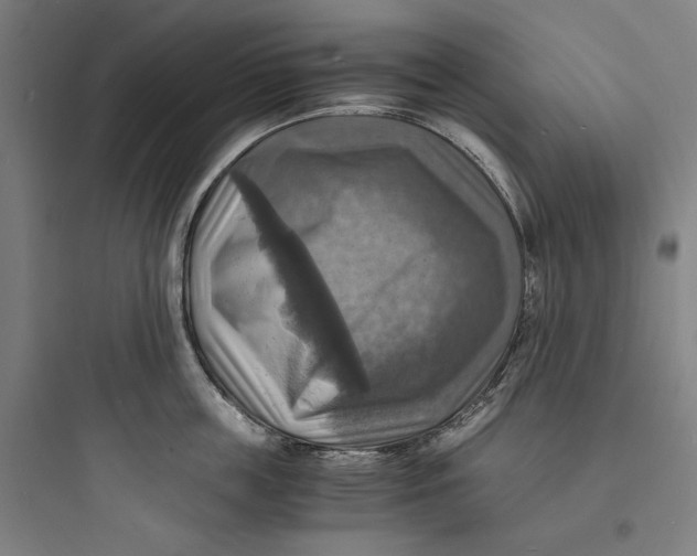 X0000093730859200711060959