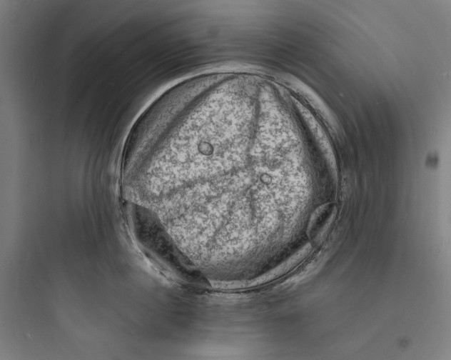 X0000093730860200711060959