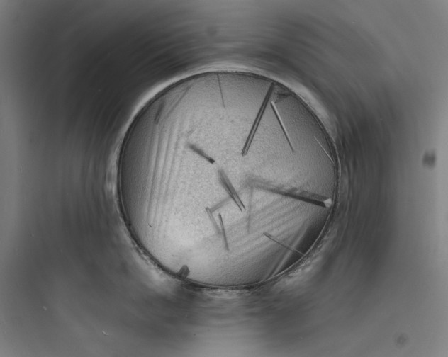 X0000093730862200711060959