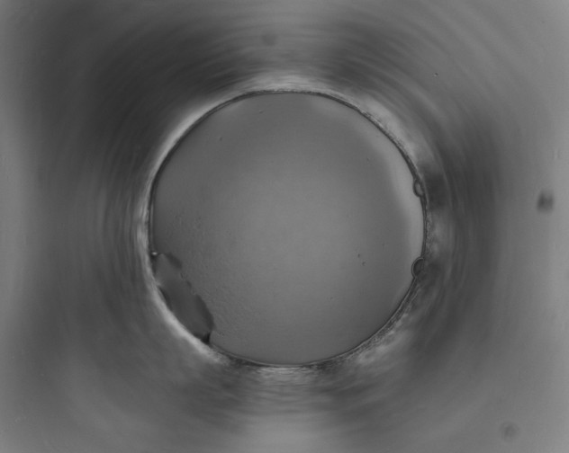 X0000093730863200711060959