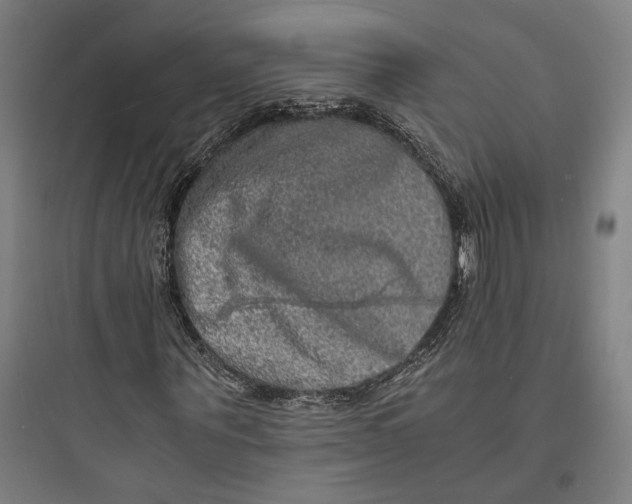 X0000093730867200711060958