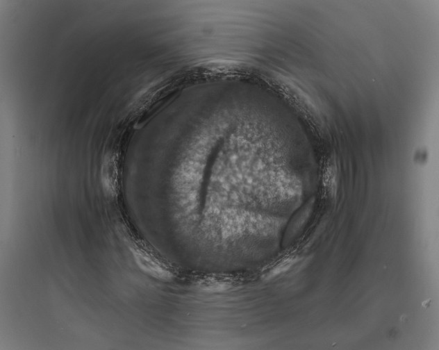 X0000093730868200711060958