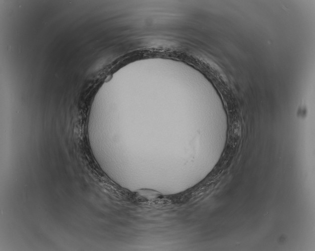 X0000093730869200711060958