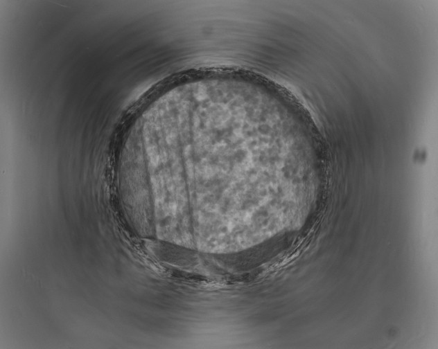 X0000093730871200711060958