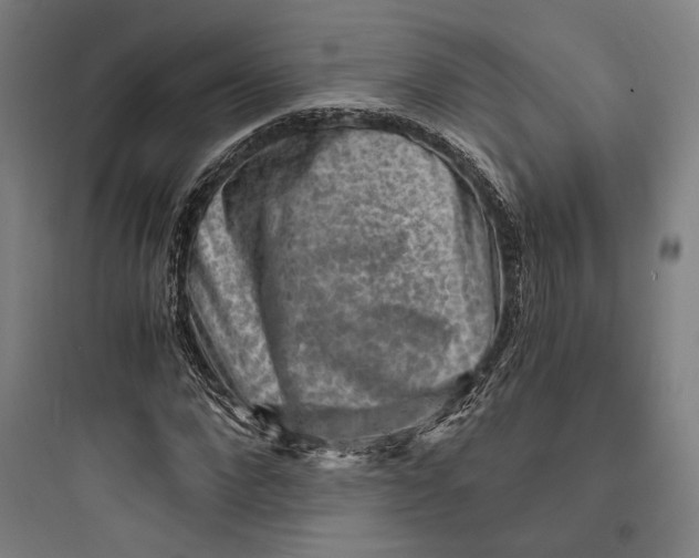 X0000093730872200711060958