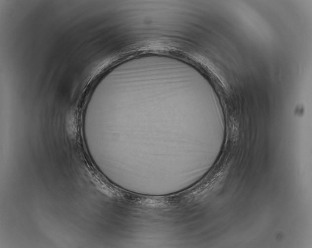 X0000093730874200711060958