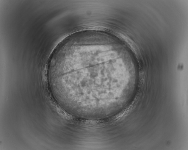 X0000093730875200711060958