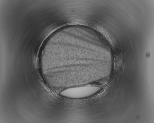 X0000093730876200711060958