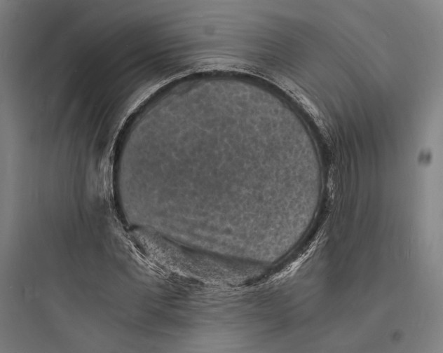 X0000093730877200711060958