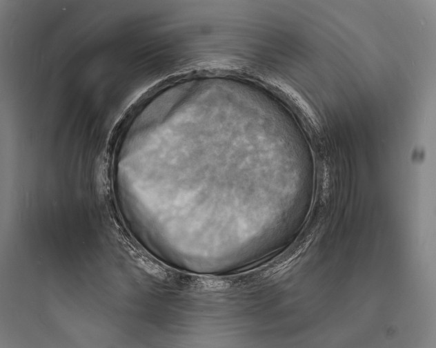 X0000093730878200711060958