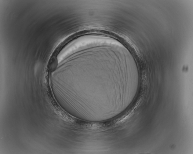 X0000093730879200711060958