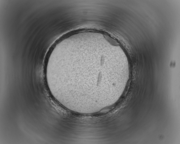 X0000093730880200711060958