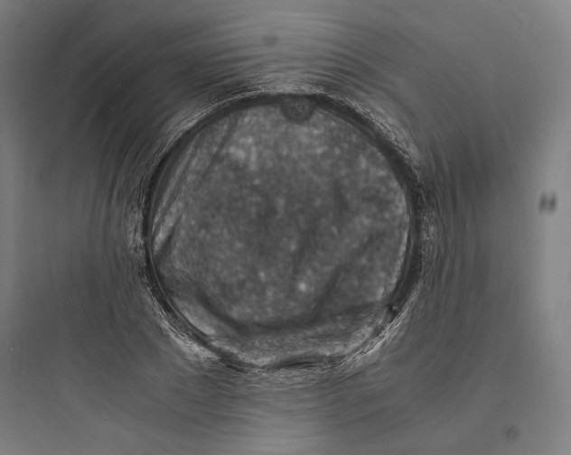 X0000093730881200711060958