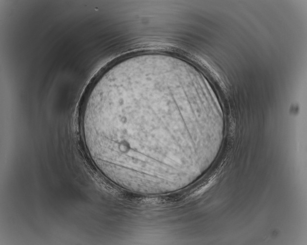 X0000093730883200711060958