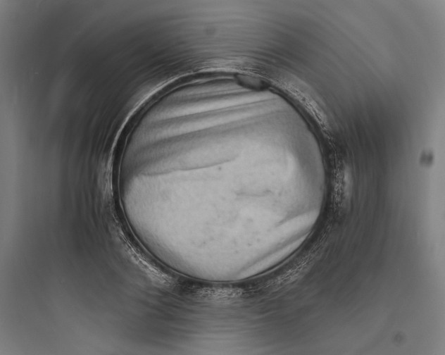 X0000093730884200711060958