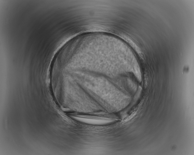 X0000093730885200711060958