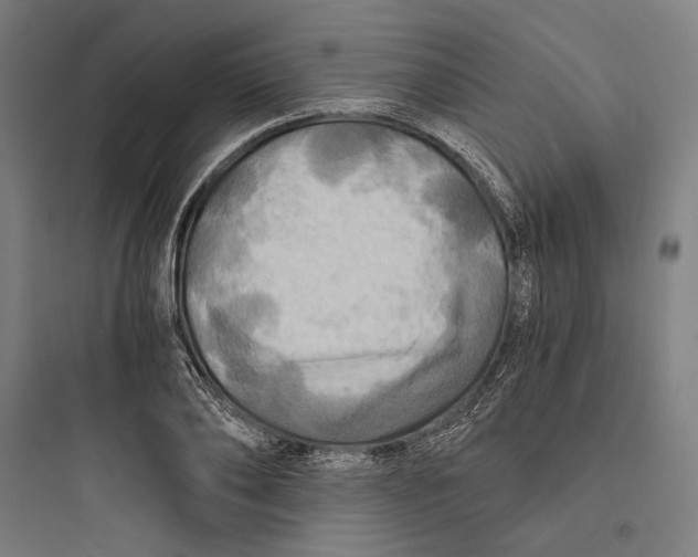 X0000093730886200711060958