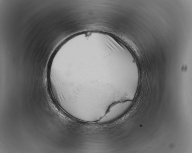 X0000093730888200711060958