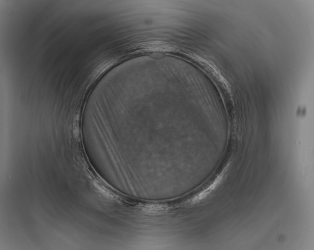 X0000093730889200711060958