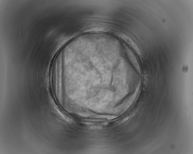 X0000093730890200711060958