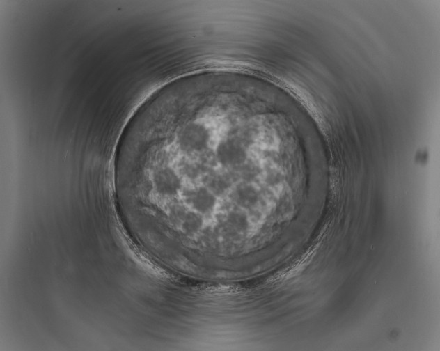 X0000093730891200711060958