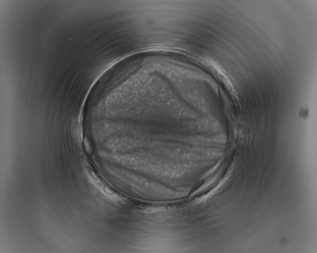 X0000093730892200711060958