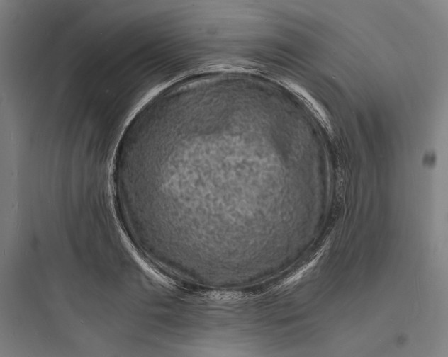 X0000093730893200711060958