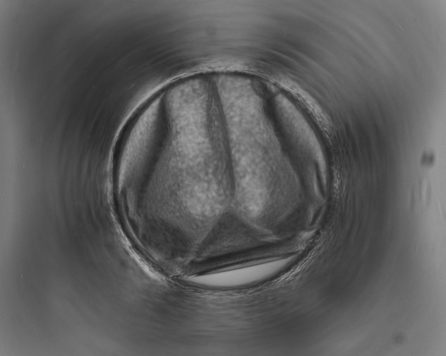 X0000093730894200711060958