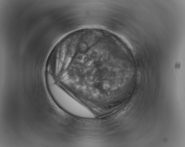 X0000093730895200711060958